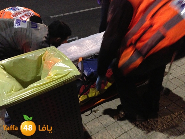 shaccmidnighty114 (8).jpg